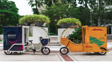 Eco-friendly cargo bike