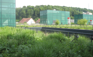 Green Roofs in Basel