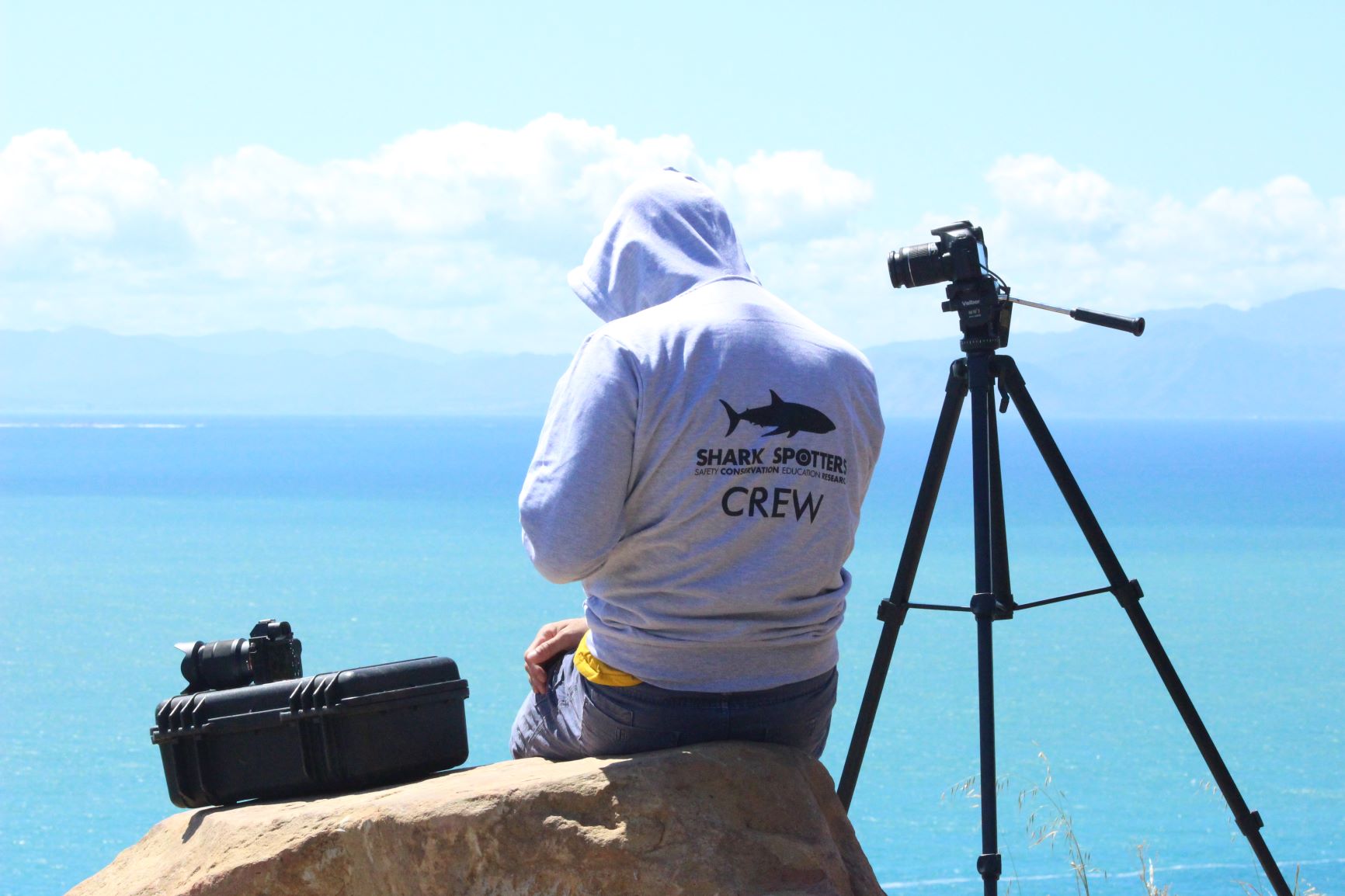 Shark Spotters (Shark Detection Project)