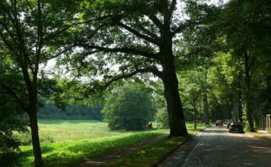 20 Green Walks