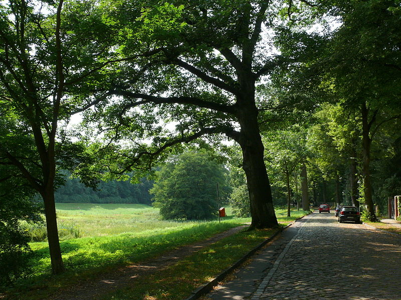 20 Green Walks