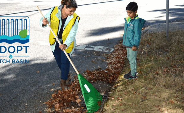 Adopt a Catch Basin