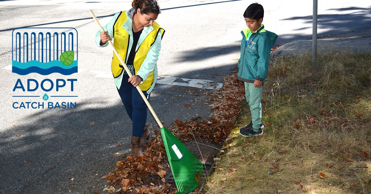 Adopt a Catch Basin
