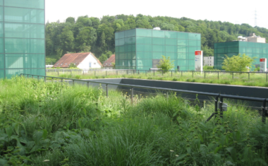 Green Roofs in Basel