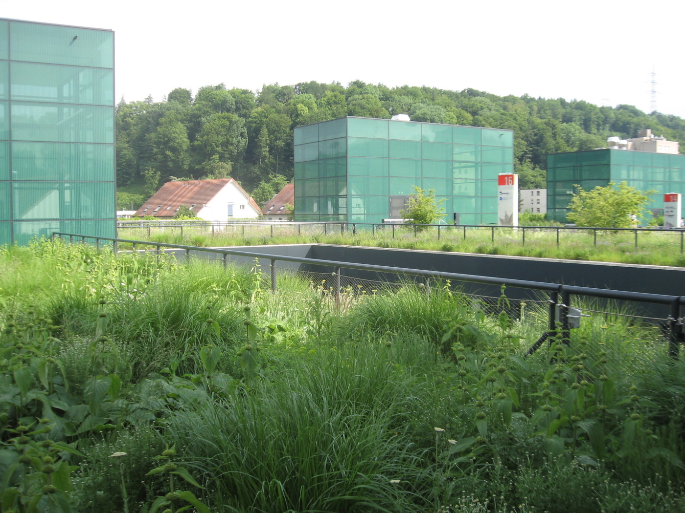 Green Roofs in Basel