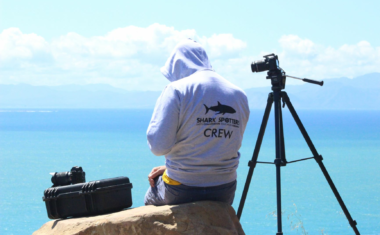 Shark Spotters (Shark Detection Project)