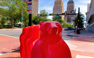 NDD Red Urban Bears