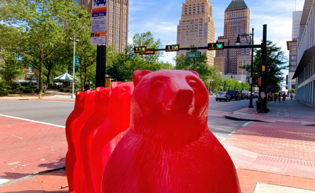 NDD Red Urban Bears